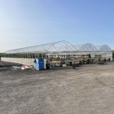 Baolida 24x40m Single-Span Szklarnia z 150 mikron PE Film