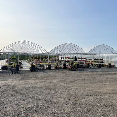 Baolida 24x40m Single-Span Szklarnia z 150 mikron PE Film