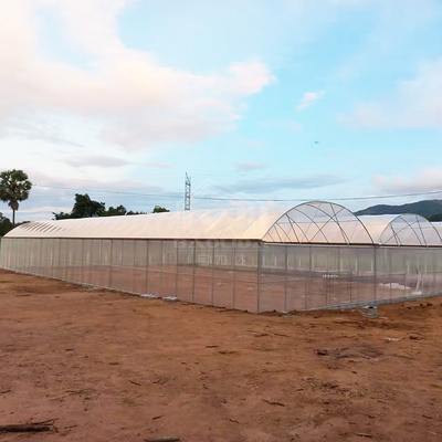 Baolida 24x40m Single-Span Szklarnia z 150 mikron PE Film
