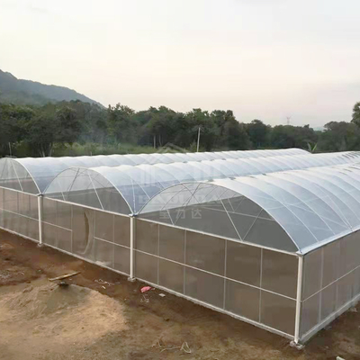 Baolida 24x40m Single-Span Szklarnia z 150 mikron PE Film