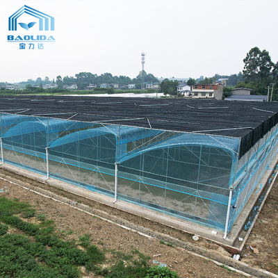 Zestaw szklarni foliowej PE Multi-Span 6m-12m z 10-letnią gwarancją