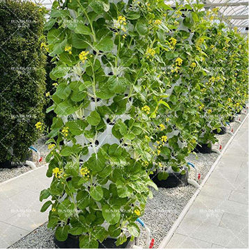 30L 6-poziomowa wieża do uprawy aeroponicznej z 48 otworami, pionowy system hydroponiczny do truskawek