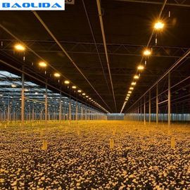Rolnictwo Zautomatyzowana szklarnia zaciemniająca / plastikowy tunel do uprawy polietylenu