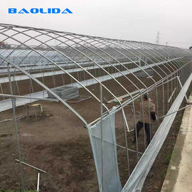 Jednoprzęsłowa plastikowa szklarnia tunelowa z polietylenu Wsparcie rolnictwa rolniczego