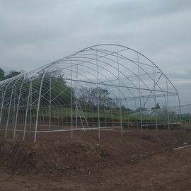 Jednoprzęsłowa plastikowa szklarnia tunelowa z polietylenu Wsparcie rolnictwa rolniczego