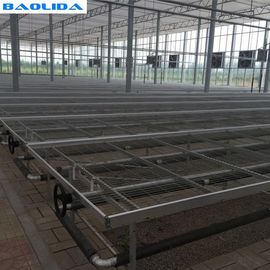 Seedbed Ebb Plastic Greenhouse Tables Stabilna struktura Certyfikat ISO9001