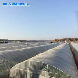 Klasyczny standardowy arkusz plastikowy tunel szklarniowy pokrywający wzrost warzyw