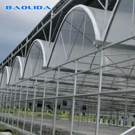 Automatyczny system Multi-Span Greenhouse PC Poliwęglanowa konstrukcja ze stali szklarniowej