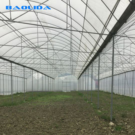 Wielkoformatowa folia szklarniowa / szklarnia rolnicza o długości 20 m - 100 m
