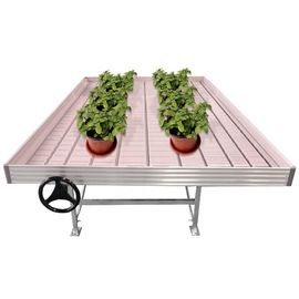 Farming Greenhouse Rolling Benes / Ruchome komercyjne stoły szklarniowe