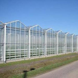 Rolnicza przezroczysta szklarnia typu Venlo do kwiatów owocowych