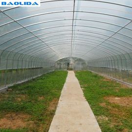 Rolniczy tunel jednoprzęsłowy z folii plastikowej Tropikalna szklarnia