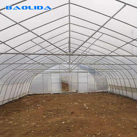 Tunel Rolnictwo 8m Szklarnia Folia z tworzywa sztucznego Folia polietylenowa Szklarnia