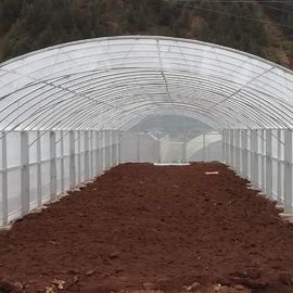Podwójna folia Podwójne łuki Szklarnia Uprawa warzyw w tunelu 2,8 m Plastikowa szklarnia w tunelu