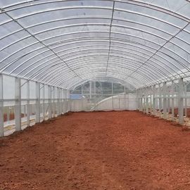 Podwójna folia Podwójne łuki Szklarnia Uprawa warzyw w tunelu 2,8 m Plastikowa szklarnia w tunelu