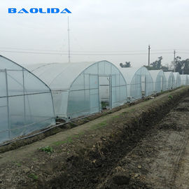Rośliny Sadzenie Rolnictwo Standardowa folia z tworzywa sztucznego 8m 60m Folia Pe Szklarnia jednoprzęsłowa