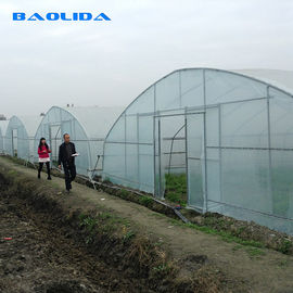 Rośliny Sadzenie Rolnictwo Standardowa folia z tworzywa sztucznego 8m 60m Folia Pe Szklarnia jednoprzęsłowa