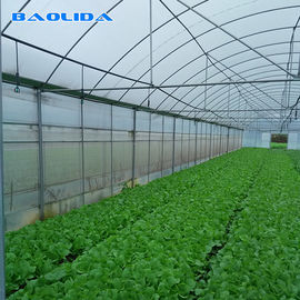 Automatyczna kontrola Folia polietylenowa Ochrona przed promieniowaniem UV Wieloprzęsłowa szklarnia do uprawy roślin