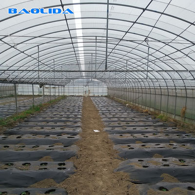 Rolniczy komercyjny przemysłowy system uprawy pomidorów z folii z tworzyw sztucznych 150 Micro Multi Span Greenhouse