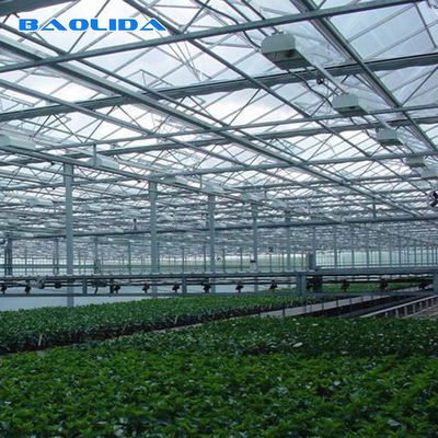 Rolnictwo Multi Span Venlo Szklana szklarnia do sadzenia pomidorów
