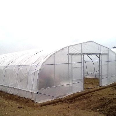 Ocynkowana pojedyncza przęsło plastikowa szklarnia tunelowa Dostosowana uprawa warzyw