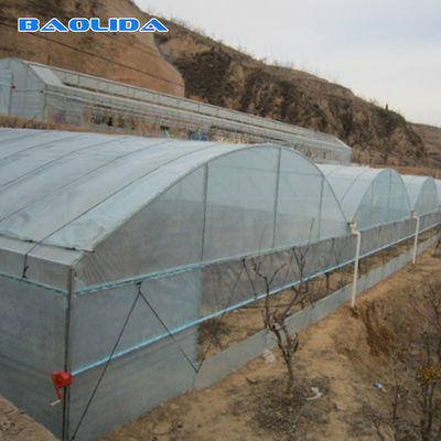 Ocynkowana pojedyncza przęsło plastikowa szklarnia tunelowa Dostosowana uprawa warzyw