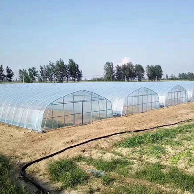 Szerokość 8m 9m 10m Tunel Plastikowa szklarnia do uprawy warzyw