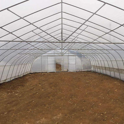 Szerokość 8m 9m 10m Tunel Plastikowa szklarnia do uprawy warzyw