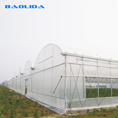 Uprawa roślin rolniczych Wieloprzęsłowy system chłodzenia szklarni z wentylacją górną / boczną