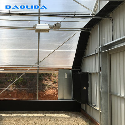Szklarnia pozbawienia światła 10m * 100m do uprawy konopi hydroponicznych