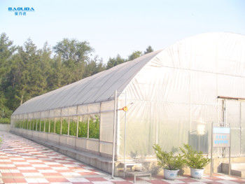 Rolniczy tunel warzywny o pojedynczej rozpiętości szklarniowej folii plastikowej 150 mikronów