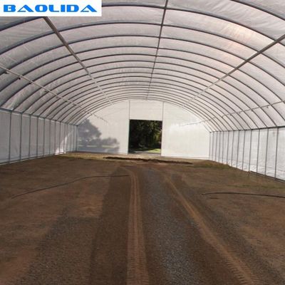 Rolniczy tunel warzywny o pojedynczej rozpiętości szklarniowej folii plastikowej 150 mikronów