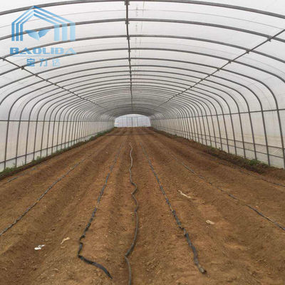 Rolniczy jednoprzęsłowy tunel do szklarni Strawberry PE Tunel do szklarni z tworzywa sztucznego