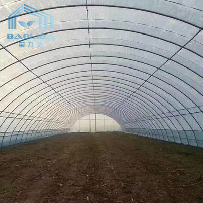 Rolniczy jednoprzęsłowy tunel do szklarni Strawberry PE Tunel do szklarni z tworzywa sztucznego