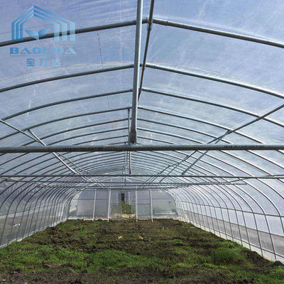 Farming Singlespan Tunnel cieplarnianych z nawadnianiem i hydroponicznym systemem uprawy