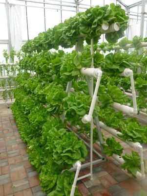 System hydroponiczny typu wieża do szklarni rolniczej