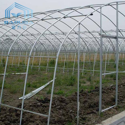 Rolnictwo Ogórek Chili Tunel jednoprzęsłowy Plastikowa szklarnia z systemem cieniowania