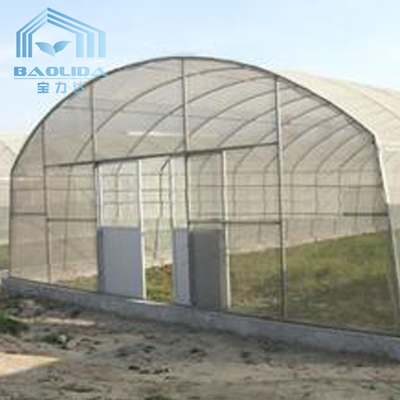 Plastikowy tunel jednoprzęsłowy szklarnia rolnicza do truskawek