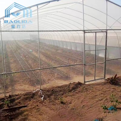 Rolnictwo Ogórek Chili Tunel jednoprzęsłowy Plastikowa szklarnia z systemem cieniowania
