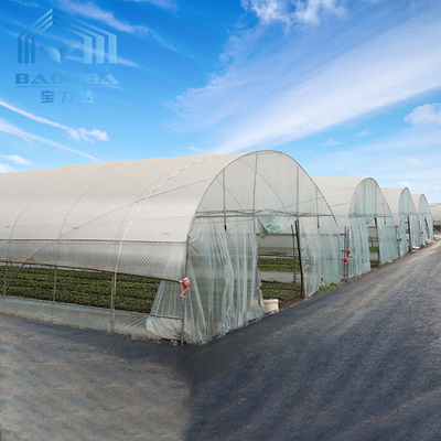 Plastikowa szklarnia z tunelem wentylacyjnym dachowym z systemem chłodzenia