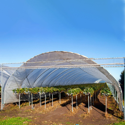 Folia z tworzywa sztucznego o wysokiej wydajności Rolnicza szklarnia z uprawą truskawek Osłona przeciwdeszczowa