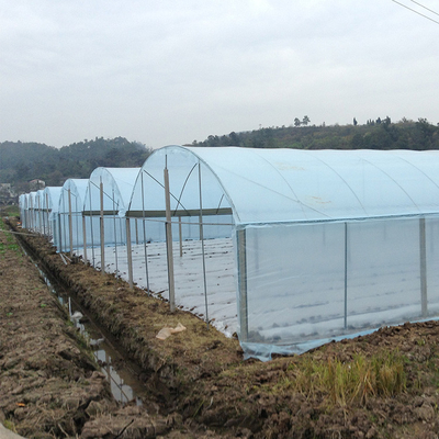 Rolnictwo Folia z tworzywa sztucznego Multi Span Greenhouse Tomato Truskawka Hydroponic