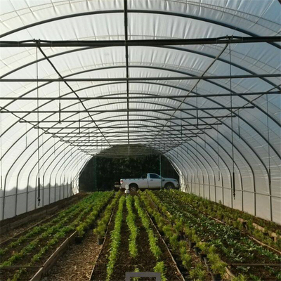 Hydroponiczna metalowa rama Tunel Pojedyncza przęsło Szklarnia Rolnictwo Uprawa rolnicza