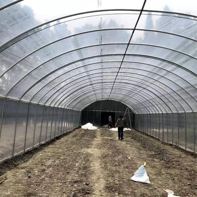 System hydroponicznej uprawy truskawek z pojedynczym przęsłem z tworzywa sztucznego w tunelu szklarniowym