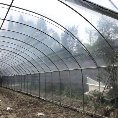 System hydroponicznej uprawy truskawek z pojedynczym przęsłem z tworzywa sztucznego w tunelu szklarniowym