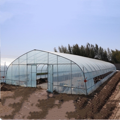 Klasyczny standardowy arkusz plastikowy tunel szklarniowy pokrywający wzrost warzyw