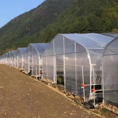 200 Micro PE Film Tunel Plastikowa szklarnia o pojedynczej rozpiętości do uprawy roślin rolniczych