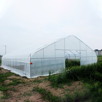 Tunel kwiatowy Plastikowa szklarnia Uprawa warzyw szklarniowych jednoprzęsłowych