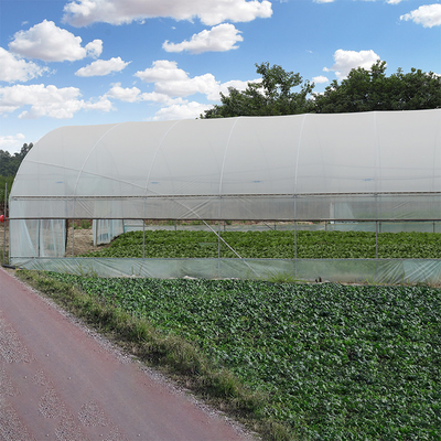 Folia z tworzywa sztucznego pokrywająca szopę rolniczą 8-metrową szklarnię o pojedynczej rozpiętości w tunelu
