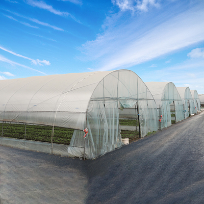 8m 9m szerokości Jednoprzęsłowy pionowy tunel Plastikowa szklarnia do uprawy roślin